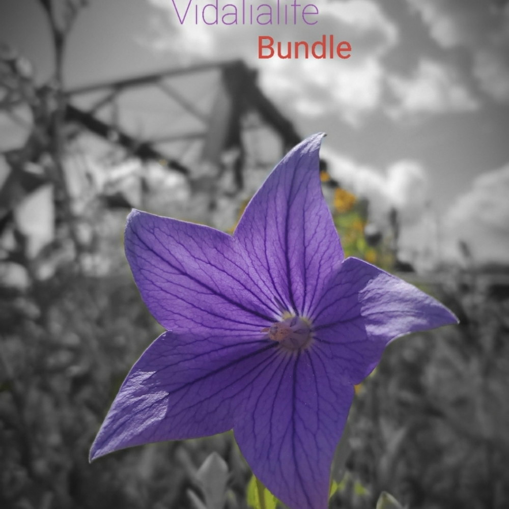 Vidalialife bundle